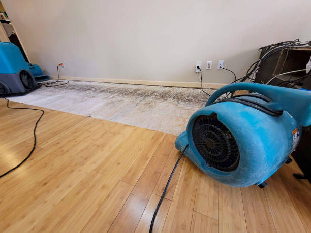Professional Ceiling Water Damage Repair technician working in New Auburn, MN
