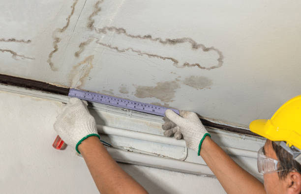 Affordable Ceiling Water Damage Repair solutions in New Auburn, MN